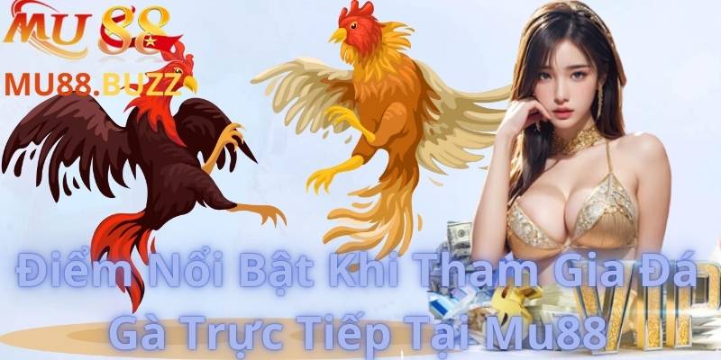 Điểm Nổi Bật Khi Tham Gia Đá Gà Trực Tiếp Tại Mu88